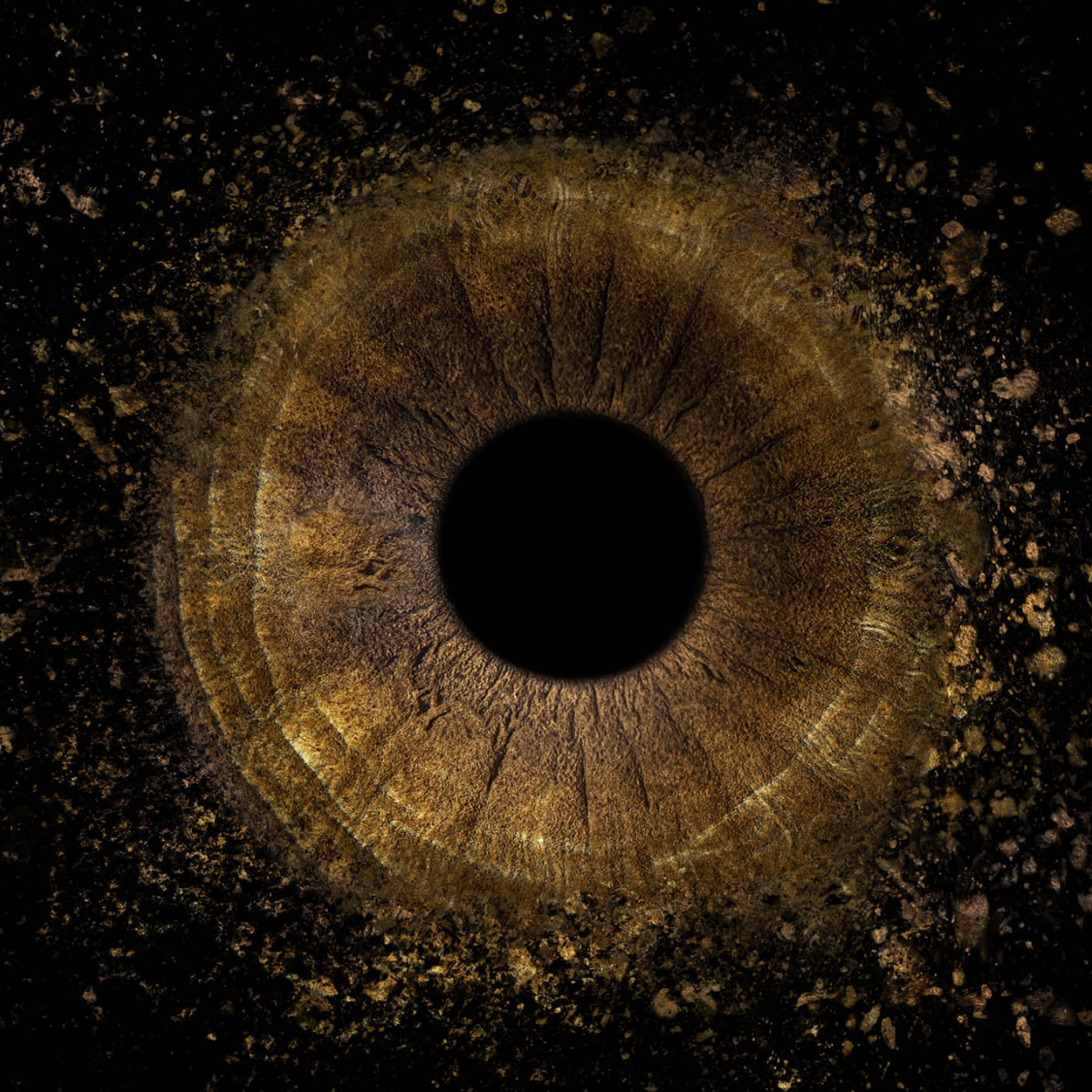 Iridology close-up eye analysis for naturopathic assessment